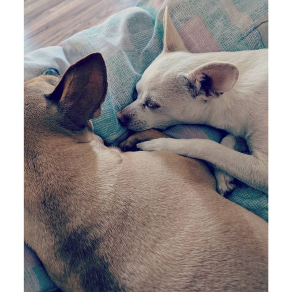 Hi I'm Maegan!! - Picture 7 of 11